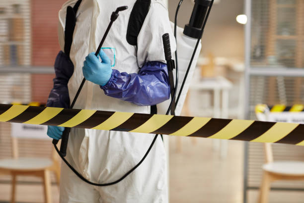 Professional Sewage Cleanup technician working in Cohasset, MN